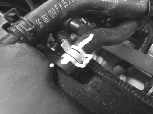 Object Number: 1769938  Size: SH