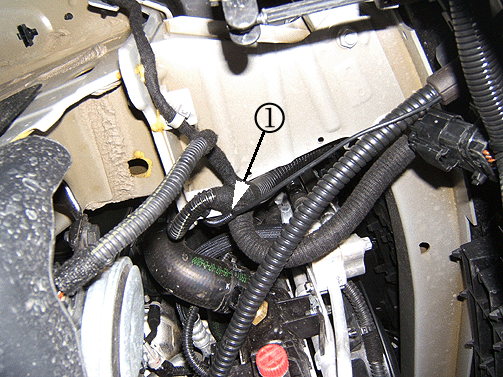 Object Number: 2024982  Size: SH