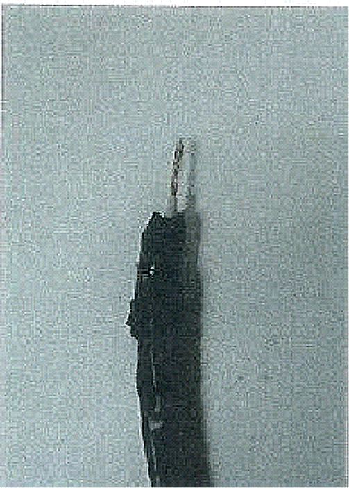 Object Number: 2030115  Size: SH