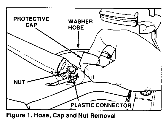 Object Number: 91937  Size: SF